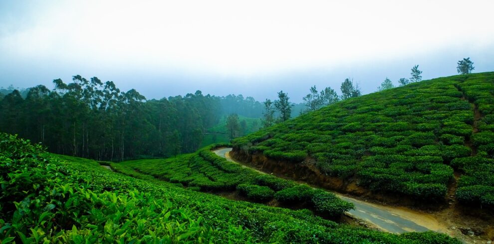 5 Days 4 Nights Kerala Tour