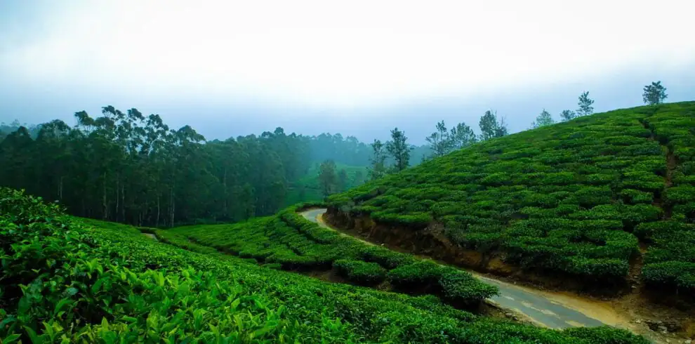 5 Days 4 Nights Kerala Tour