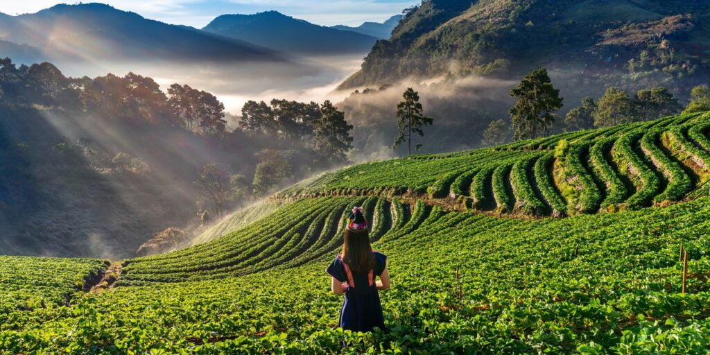 Woman wearing hill tribe dress in strawberry garden on Doi Ang K