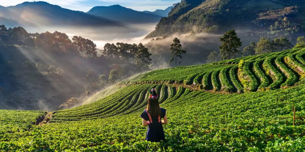 Woman wearing hill tribe dress in strawberry garden on Doi Ang K