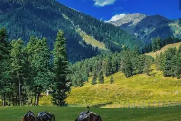 Aru Vally Jammu & kashmir
