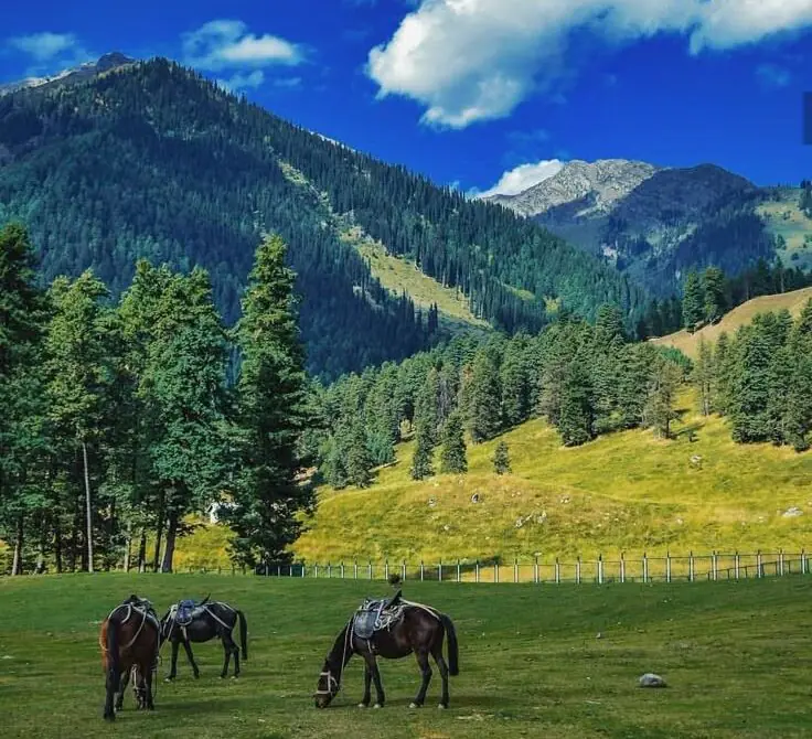 Best Time to Visit Jammu and Kashmir – Season-Wise Guide 2025