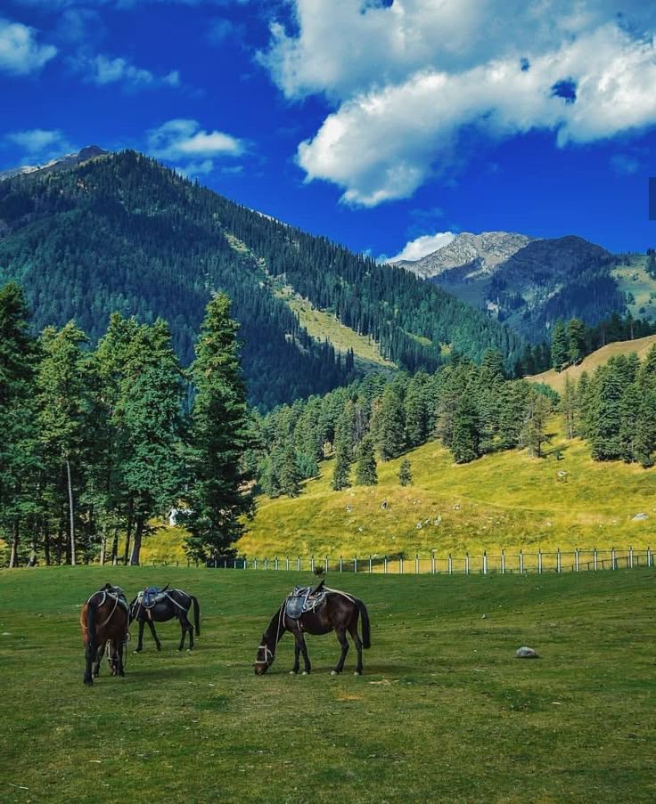 Aru Vally Jammu & kashmir